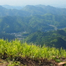 P4270211