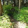 P4270242