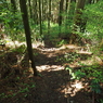 P4270243