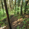 P4270244