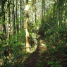P4270246