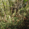 P4270249
