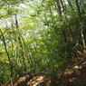 P4270253