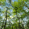 P4270254