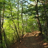 P4270265