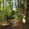P4270271