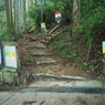 P4270273