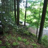 P4270274