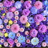 花まいり①　５月朔日参り
