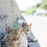 あちいよね