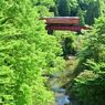 養老渓谷の初夏