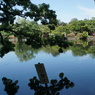 2023GW_石神井公園散策3