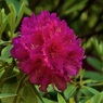 P1080257