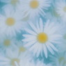 MAY