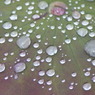 雨の休み時間