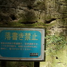 2023MAY SARUSHIMA5