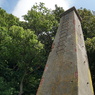 2023MAY SARUSHIMA9