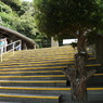 2023MAY SARUSHIMA10