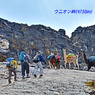 ペルー・アンデス　ブランカ山群トレッキング2015(43)