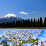 青＆青＆富士山　その１