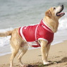 海と愛犬