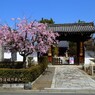 妙顕寺18-0331