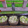 花まいり　柄杓復活