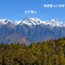 中国・梅里雪山内院トレッキング2015：2日目(24)