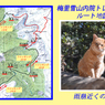 中国・梅里雪山内院トレッキング2015：2日目(36)