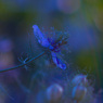 D04807DF-ED40-47B9-B844-4438D73701C6