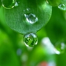 『Rain drops』 小さな世界