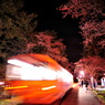 津軽・夜桜鉄道