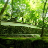 高山寺石水院築地塀