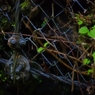 K5IM0506_Resize