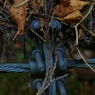 K5IM0508_Resize