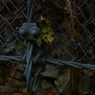 K5IM0509_Resize