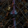 K5IM0510_Resize