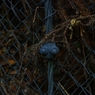 K5IM0511_Resize