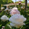 P1080139