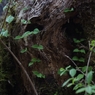 K5IM0153_Resize