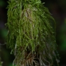 K5IM0205_Resize