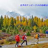 カナダの山旅2016B：ラーチバレー・センチネルパストレッキング(8)