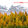 カナダの山旅2016B：ラーチバレー・センチネルパストレッキング(9)