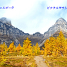 カナダの山旅2016B：ラーチバレー・センチネルパストレッキング(10)