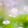 4C7CB92A-8559-472E-AB92-597F0C2880EC