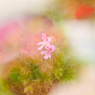 FF2B473E-2E06-4328-B889-2A460C69524F