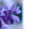 4F70D6EF-6313-44DB-9F1C-6446ED23FD1B