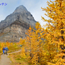 カナダの山旅2016B：ラーチバレー・センチネルパストレッキング(11)
