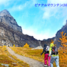 カナダの山旅2016B：ラーチバレー・センチネルパストレッキング(14)