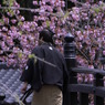 Edo Mura